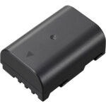 Paquete de batería recargable de iones de litio Panasonic DMW-BLF19 (7,2 V, 1860 mAh) - Imagen 2